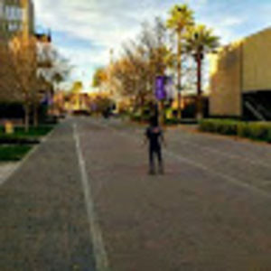 Meet your Posher, Dinah